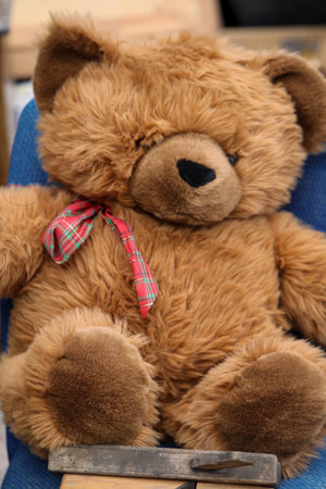The dream of every child a real teddy bear.の写真素材