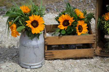 Sunflowers in a vase on the ground in the garden. A festive decoration with beautiful yellow sunflowers.の写真素材