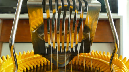 eggslicer surrounded by yellowrubber ring with  knobsの写真素材