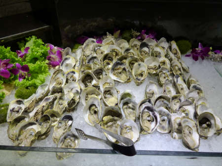 clams on  ice with decorationの写真素材
