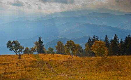 Spectacular light on meadow and forest in autumn with mountain ranges in background 