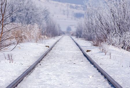 Railroad track in winter, frozen landscape, infinite directionの写真素材