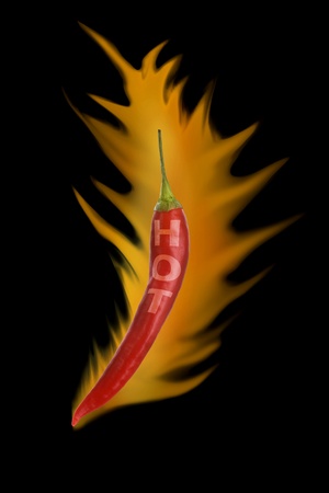 Hot Red Mexican Chili Pepper on Fireの写真素材