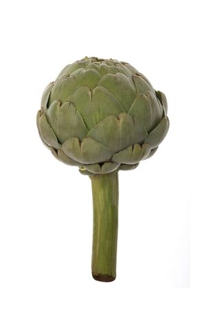 Raw and Fresh Artichoke Vegetables Isolated on Whiteの写真素材