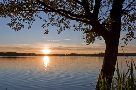 Sonnenuntergang an einem kleinen See nähe Bodensee ### Sunset at a small lake near Lake Constanceの写真素材