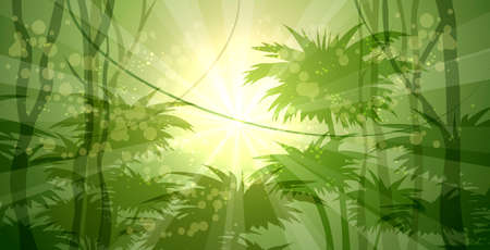Wild forest landscape drawn in realistic style.のイラスト素材