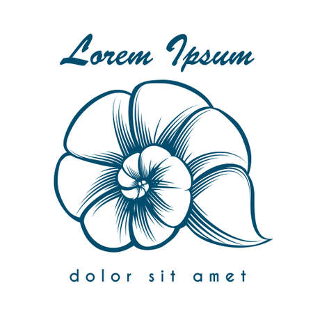 Sea shell emblem or logo. Monochrome isolated on white background.のイラスト素材