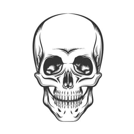 Black and white human skull. Engraving style. Isolated on white background.のイラスト素材