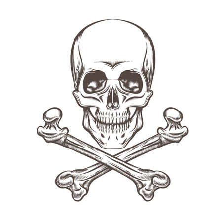 Engraving illustration of skull and crossbones. Isolated on white background.のイラスト素材