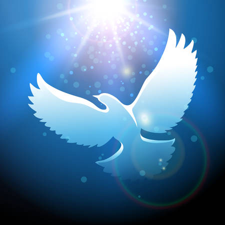 White dove flying in a blue skyのイラスト素材