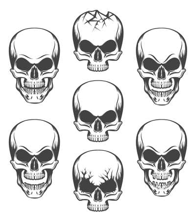 Human skulls set drawn in engraving style. Vector illustration.のイラスト素材