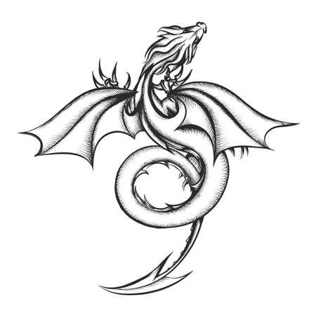 Dragon drawn in engraving style inspired by George Martin books.  Vector iillustration.のイラスト素材