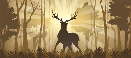 Deer Silhouette in rays of sunlight on Deep Forest Background. Horizontal vector Illustrationのイラスト素材