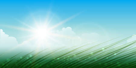Summer background with shining sun, sky, clouds and green grass. Vector illustration.のイラスト素材