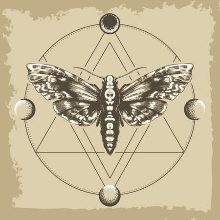 Moth Dead Head and circle of a phase of the moon. Sacred geometry or Alchemy, magic, esoteric, occult symbol. Vector illustrationのイラスト素材