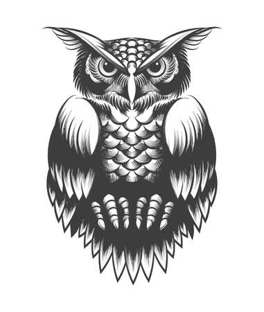 Hand drawing Owl in Tattoo style. Vector illustrartionのイラスト素材