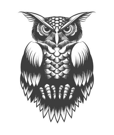 Hand drawing Owl in Tattoo style. Vector illustrartionの素材 [FY310153253005]