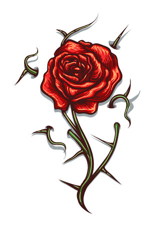 Tattoo of Red Rose Flower with thorns isolated on white. Vector illustration.のイラスト素材