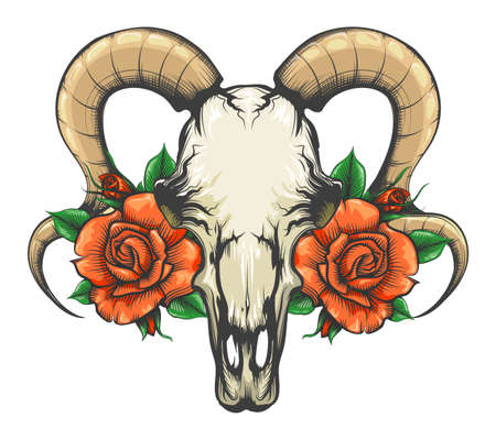 Tattoo of Goat Skull with Rose Flowers Tattoo drawn in engraving style isolated on white. Vector Illustration.のイラスト素材
