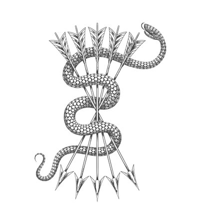 Tattoo of Snake and Bunch of Arrows Esoteric Medieval Symbol isolated on white. Vector illustration.のイラスト素材