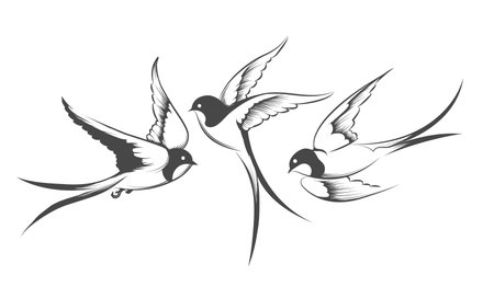 Set of a flying swallows. Hand drawn outline illustration isolated on white. Vector illustrationのイラスト素材