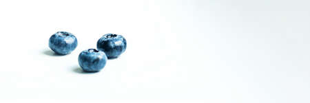 Group of blueberry berry isolated on white background. Selective focus. Copy space.の写真素材