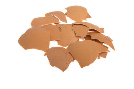 Egg shell on white background