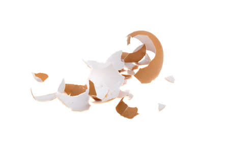 Egg shell on white background