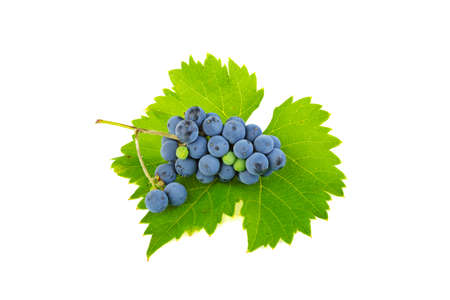 a bunch of grapes on a sheet isolated on white backgroundの写真素材