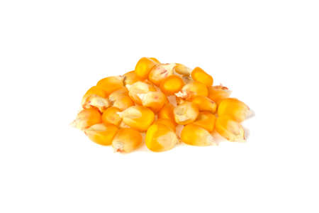 corn grain isolated on white backgroundの写真素材