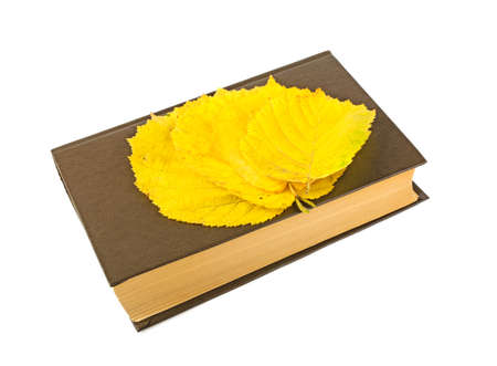 book and yellow leaves isolated on white backgroundの写真素材
