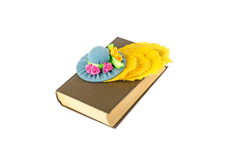 book and yellow leaves and hat isolated on white backgroundの写真素材