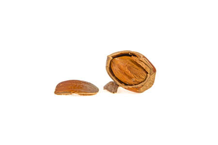 hazelnuts isolated on white background