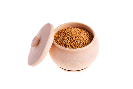 Mustard on white backgroundの写真素材