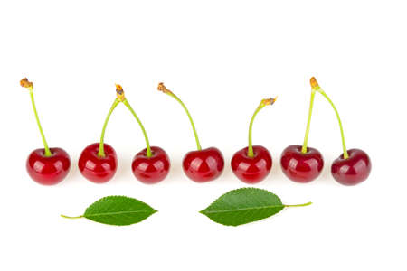 Cherry on a white backgroundの写真素材