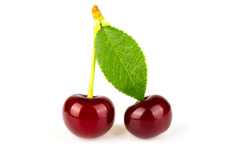 Cherry on a white backgroundの写真素材