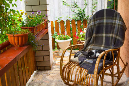 A cat on a rocking chairの写真素材