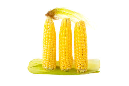 Sweet corn on white backgroundの写真素材