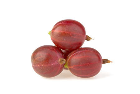 Pink gooseberry on white backgroundの写真素材