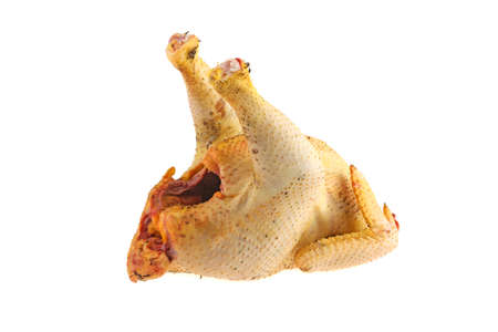 chicken plucked, meat isolated on white backgroundの写真素材