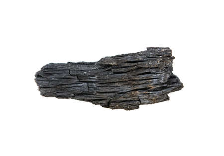 charcoal on a white backgroundの写真素材