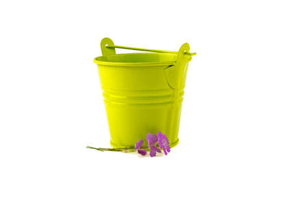 Green bucket and flower on a white backgroundの写真素材