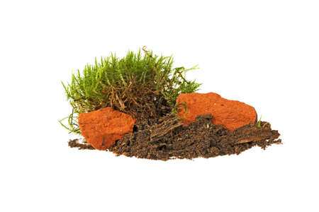 moss stone brick on the ground, isolated on a white backgroundの写真素材