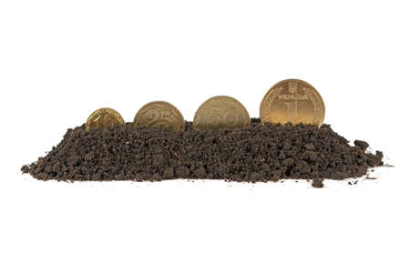 coins of different denominations grow out of the earth concept of profit growth on a white backgroundの写真素材