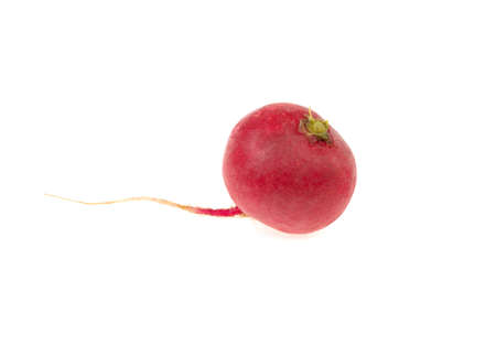 radish on a white backgroundの写真素材