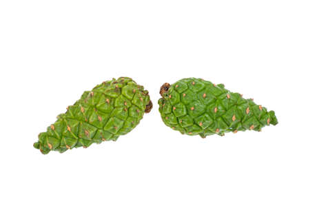 two green cones on a white background