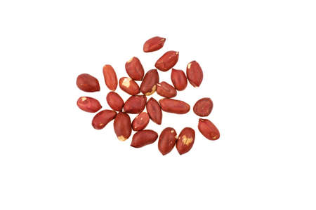 Peeled peanuts peeled isolated on white background