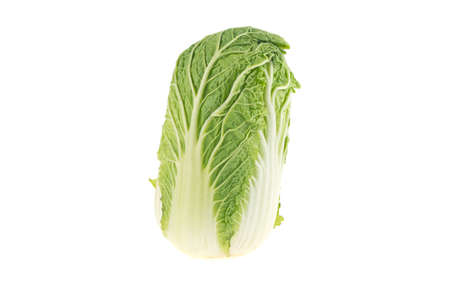 Chinese cabbage isolated on white backgroundの写真素材