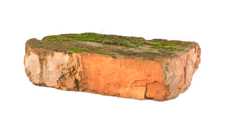 Green moss on old wet red brick isolated on whiteの写真素材