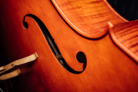 violin closeup with details on rustic background